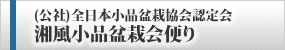 (公社)全日本小品盆栽協会認定会湘風小品盆栽会便り