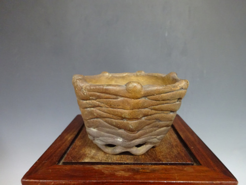 ��������ȭ