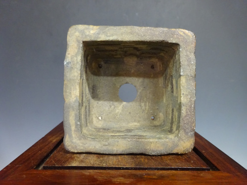 ��������ȭ