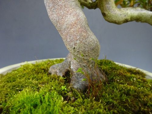 ���ĥ� ����