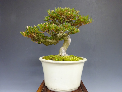 ���ĥ� ����