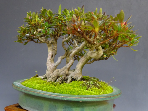 ���ĥ� ����