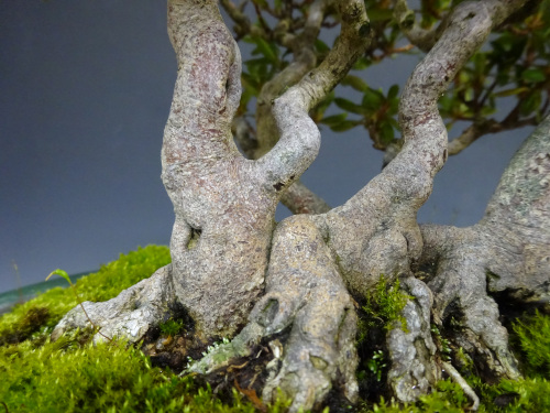 ���ĥ� ����