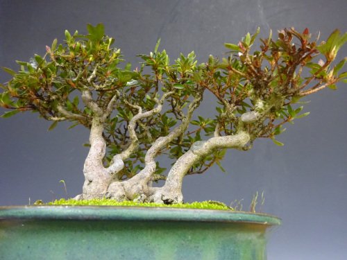 ���ĥ� ����