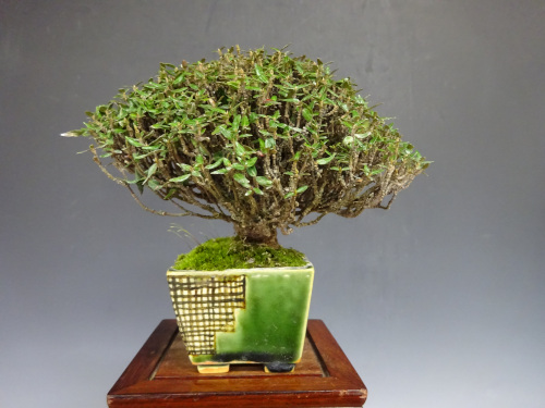 �����󥫥���