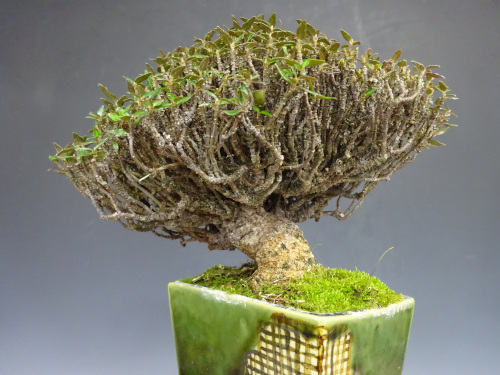 �����󥫥���