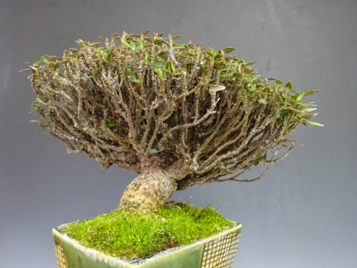 �����󥫥���