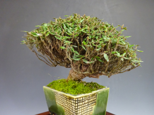 �����󥫥���