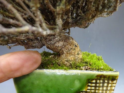 �����󥫥���