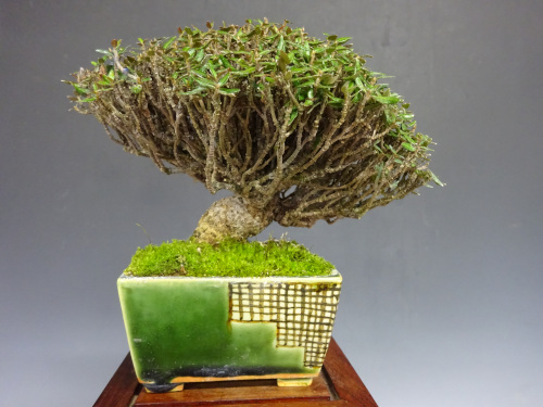 �����󥫥���