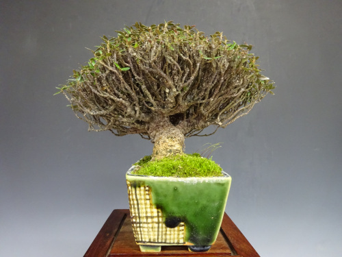 �����󥫥���