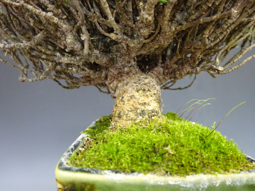 �����󥫥���