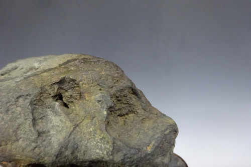 �Ӱ�����