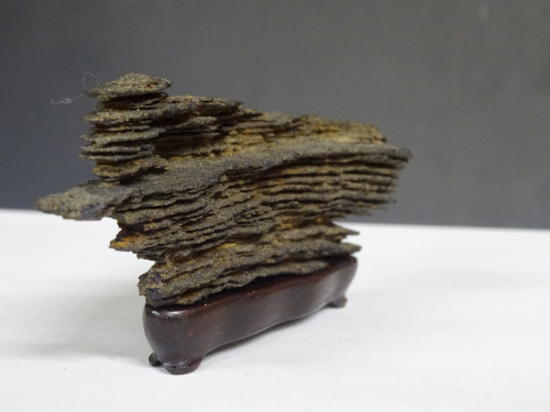 �ձ�����