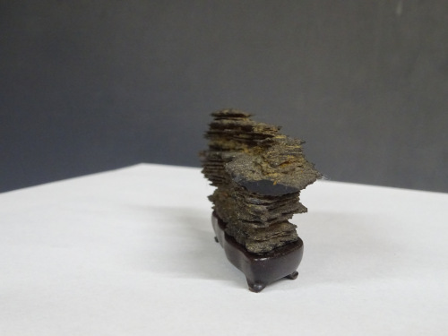 �ձ�����