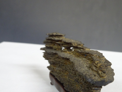 �ձ�����