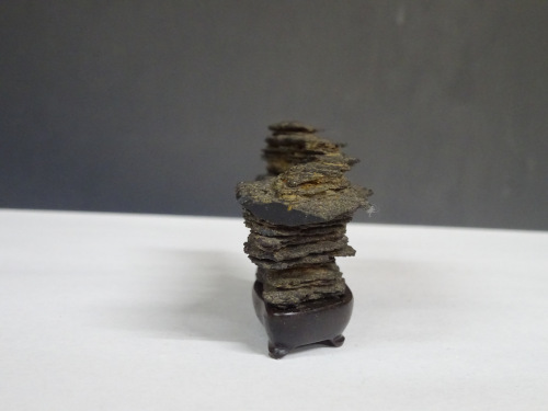 �ձ�����