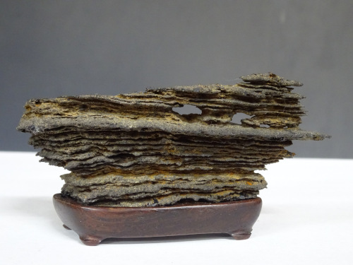 �ձ�����