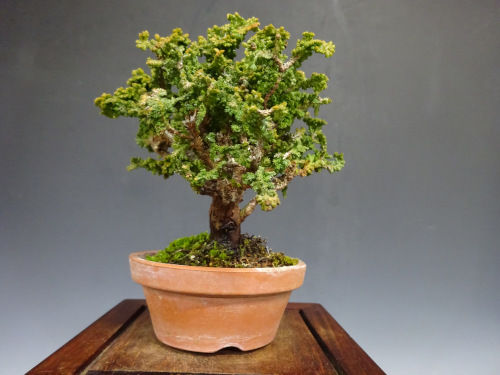 ���å��ҥΥ�