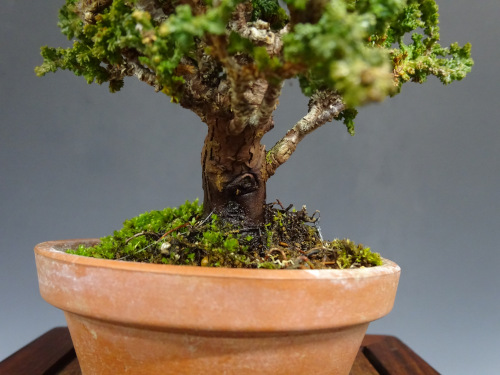 ���å��ҥΥ�