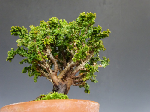 ���å��ҥΥ�