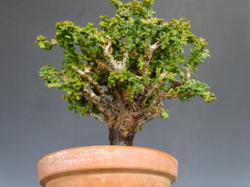 ���å��ҥΥ�