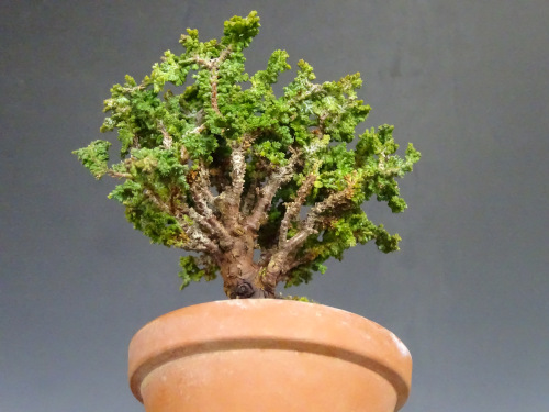 ���å��ҥΥ�