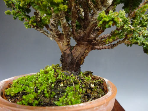 ���å��ҥΥ�