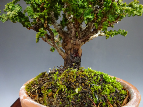 ���å��ҥΥ�