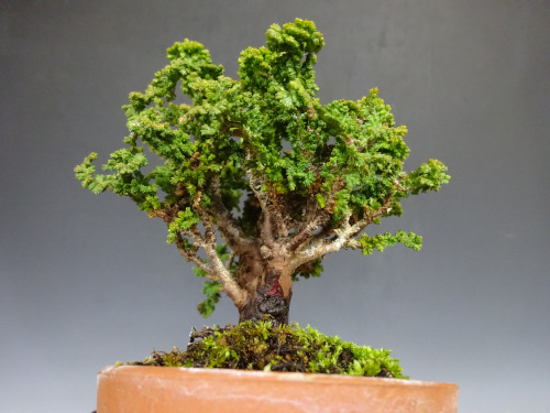 ���å��ҥΥ�