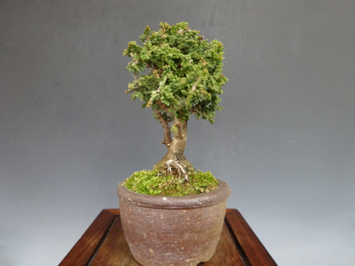 ���å��ҥΥ�