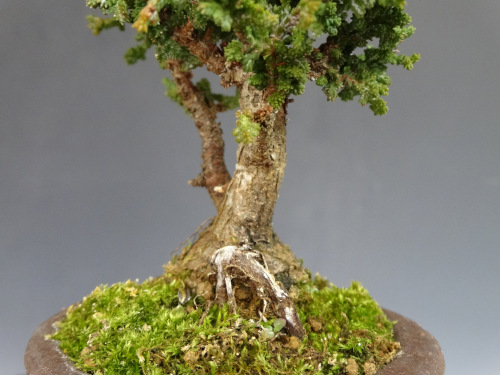 ���å��ҥΥ�