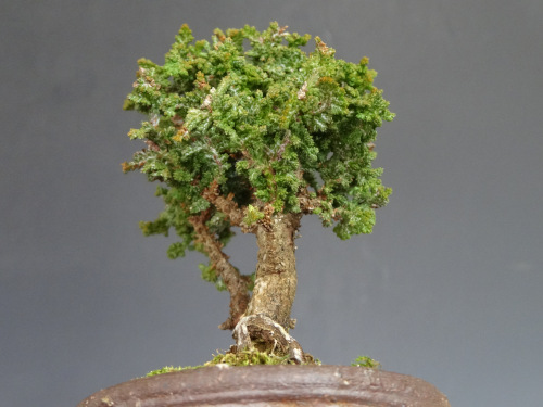 ���å��ҥΥ�