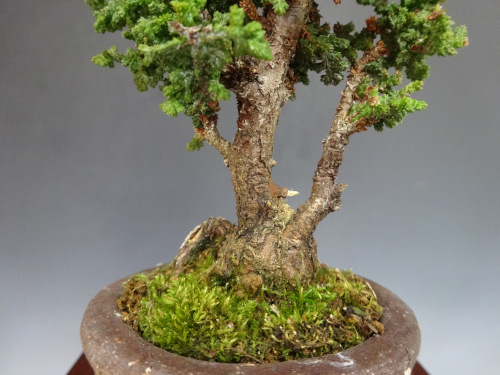 ���å��ҥΥ�