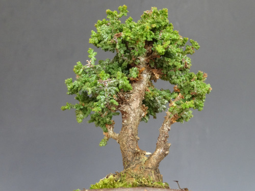 ���å��ҥΥ�