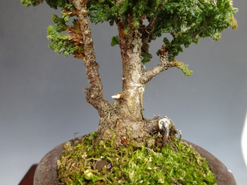 ���å��ҥΥ�