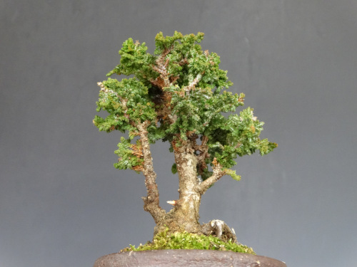 ���å��ҥΥ�