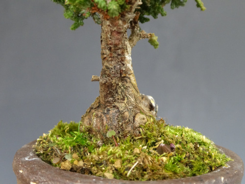 ���å��ҥΥ�