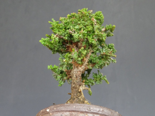 ���å��ҥΥ�