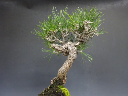 �����ޥ�