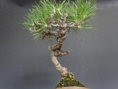 �����ޥ�