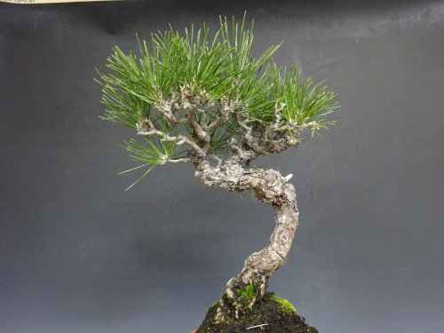 �����ޥ�