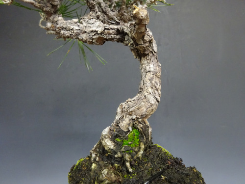 �����ޥ�