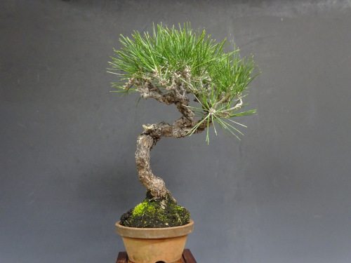 �����ޥ�