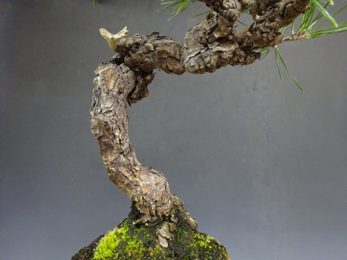 �����ޥ�