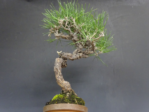 �����ޥ�