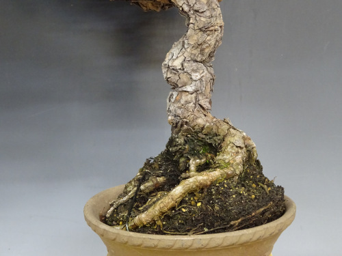 �����ޥ�