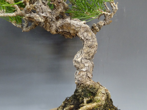 �����ޥ�