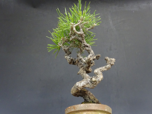 �����ޥ�