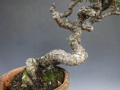 �����ޥ�